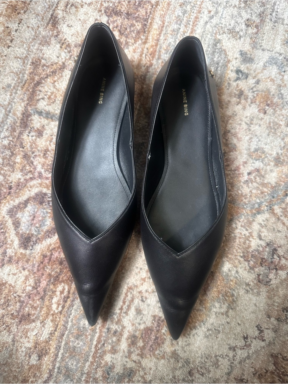 Anine Bing Black Pointed V‑Cut Leather Flats
